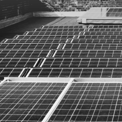 Building and Housing